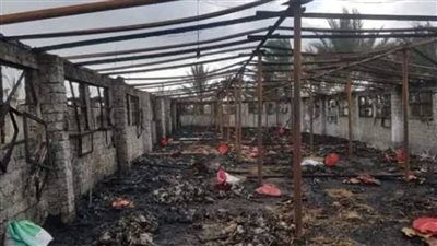 ضبط صاحب مزرعة إثر نفوق 900 فرخة في حريق بسبب الإهمال بالإسماعيلية 