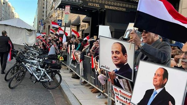 الجالية المصرية تستقبل