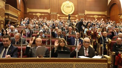 ينقذ الشباب من النصب والاحتيال.. وزير القوى العاملة يستعرض مزايا مشروع قانون العمل الجديد