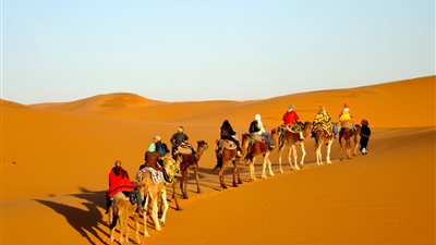 غرفة شركات السياحة: نجحنا في إعادة إطلاق السياحة الصحراوية بعد توقف استمر 8 سنوات