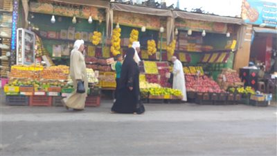 الطماطم بـ5 جنيهات.. استقرار أسعار الخضروات والفواكه وارتفاع طفيف في أسعار اللحوم بسوهاج