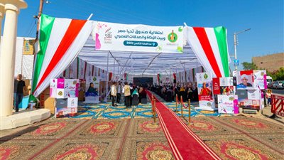 صندوق تحيا مصر: توفير 2 مليون قطعة ملابس للأسر الأولى بالرعاية | فيديو