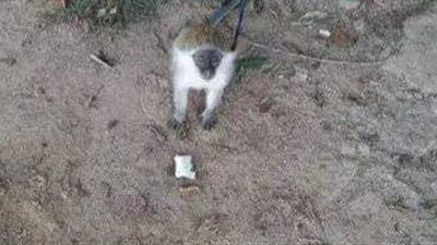 أمن سوهاج: الإمساك بـ