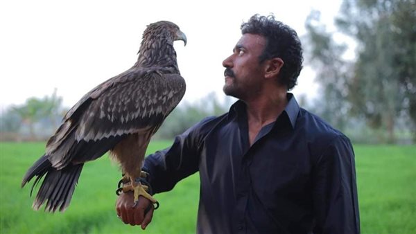 أحمد العوضي