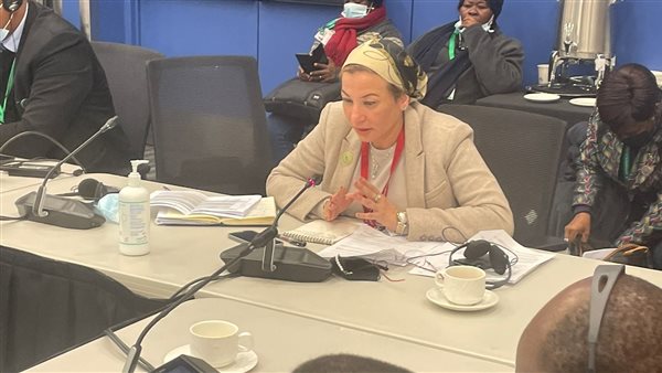 وزيرة البيئة 