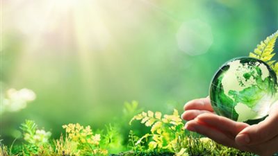 قمة الأمم المتحدة تطرح مسودة جديدة لاتفاق عالمي لحماية الطبيعة