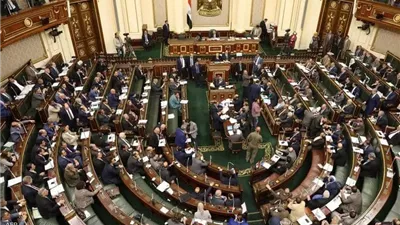 توصيات برلمانية بشن حملة مكبرة لإزالة مكامير الفحم المخالفة