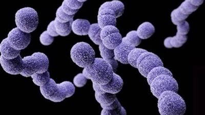 الولايات المتحدة تحقق في ارتفاع إصابات عدوى المكورات العقدية أ