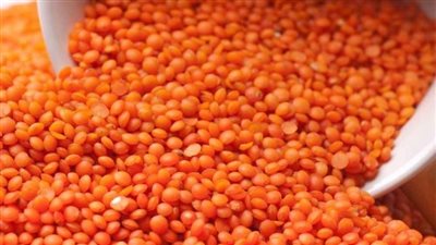 ارتفاع سعر كيلو العدس السائب إلى 50 جنيها