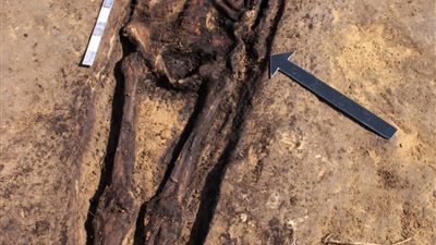 الآثار تعلن الكشف عن 20 مقبرة بمدينة دمياط الجديدة