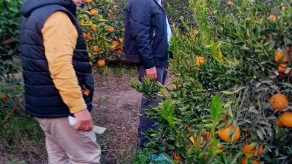 متابعة المحاصيل