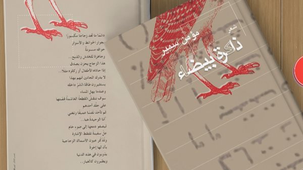 غلاف الكتاب 