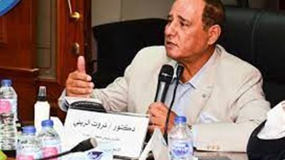 اتحاد منتجي الدواجن: تراجع أسعار الفراخ.. والكيلو يتراوح من 45 لـ 59 جنيهًا رغم اقتراب أعياد الأقباط 