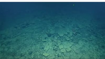 تحت عمق 1000 متر.. طريق مرصوف في قاع المحيط الهادئ شمال جزر هاواي| فيديو