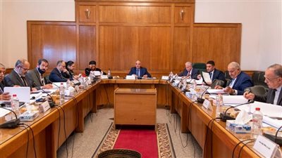 الري توافق على ترخيص أعمال الشواطئ لعدد من المشروعات القومية والاستثمارية