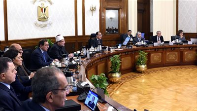 الحكومة توضح حقيقة تداول مبيدات زراعية محظورة بالأسواق تتسبب في تسمم المحاصيل