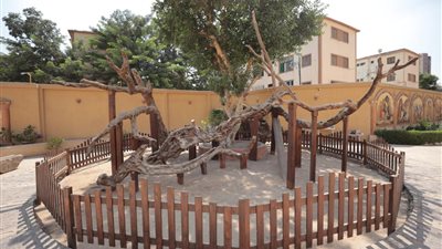 الآثار تعلن الانتهاء من تدريب 26 عاملا بمنطقة شجرة مريم العذراء بالمطرية