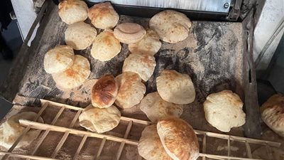 غلق وتشميع مخبز بلدي ومحل طيور في المعادي | صور