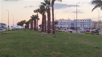 موجة صقيع تسود مدن البحر الأحمر ورفع درجة الاستعداد القصوى| صور وفيديو