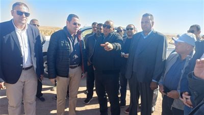 رئيس زراعة النواب: غرس 3.5 مليون نخلة في محافظة الوادي الجديد حتى الآن