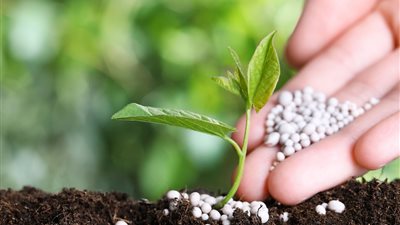 يوفر أكثر من 10 آلاف فرصة عمل.. معلومات الوزراء يستعرض تفاصيل مشروع إنتاج الأمونيا الخضراء بالعين السخنة 