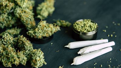 تجديد حبس تاجر مخدرات لحيازته كمية من الحشيش بمدينة نصر 15 يوما