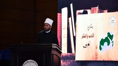 أسامة الأزهري: المصريون استطاعوا خلال 8 سنوات بناء المدن وصناعة الوعي