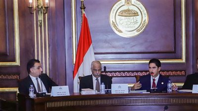 برئاسة أبو هشيمة وحضور جمال علام.. رياضة الشيوخ تناقش استعدادات استضافة مصر للبطولات العالمية