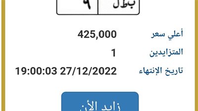 بطل ومصر.. لوحات مرور مميزة مطروحة للتزايد بسعر وصل إلى 425 ألف جنيه