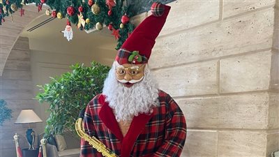 نقيب المرشدين السياحيين بالبحر الأحمر: نسب إشغال مرتفعة خلال رأس السنة