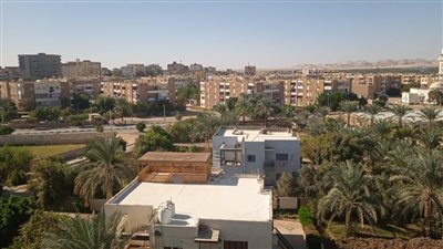 طقس دافئ نهارا شديد البرودة ليلا بالوادي الجديد.. والصغرى 7 درجات