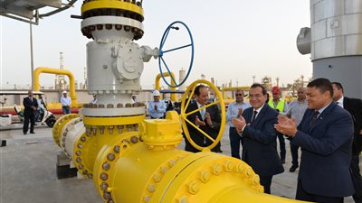 حصاد البترول 2022| 8.4 مليار دولار قيمة صادرات الغاز الطبيعي بزيادة 171%