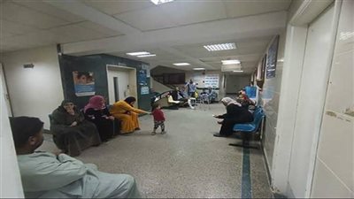 الوادي الجديد بالتصفيات النهائية بجائزة مصر للتميز الحكومي