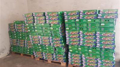 ضبط 1067 كرتونة أسماك مدخنة مجهولة المصدر بالبحيرة