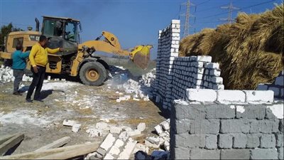 محافظة بورسعيد تستكمل حملات إزالة التعديات على الأراضي الزراعية.. والغضبان: لا تهاون في ملف إزالة التعديات | صور 