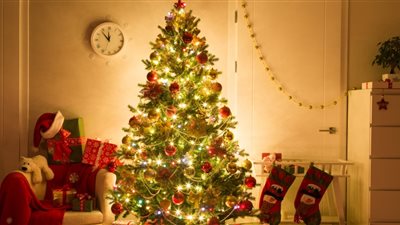 أصلها فرعوني.. تعرف على تطور شكل شجرة الكريسماس