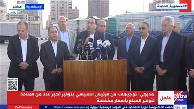 مدبولي: الإفراج عن بضائع بـ 6 مليارات دولار.. وخطة كاملة لخروج جميع البضائع