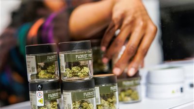 افتتاح أول متجر مرخص لبيع الماريجوانا في نيويورك بعد تقنين بيع المخدرات