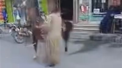 الحبس سنة مع الشغل وكفالة 500 جنيه لعربجي أهان حصانا بالأقصر