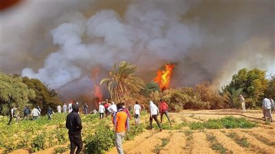 محافظ الوادي الجديد يوجه بسرعة الوقوف على أسباب حريق زراعات بقرية الموشية