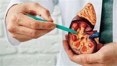 أعراض تراكم حصوات الكلى.. وأبرزها ألام الظهر والضلوع