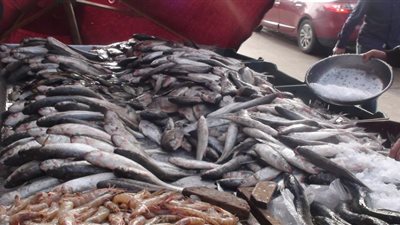 البلطي بـ 78 جنيها.. أسعار السمك اليوم بسوق العبور لـ تجارة الجملة