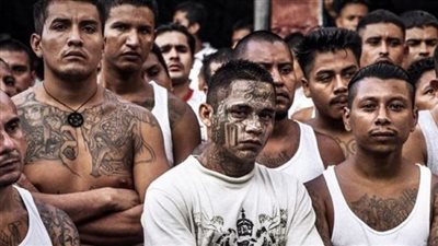 هدية العام الجديد.. كولومبيا تعلن وقف إطلاق النار مع أخطر العصابات المسلحة في البلاد