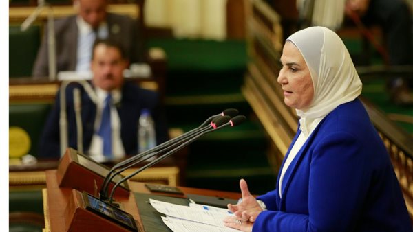 وزيره التضامن الاجتماعي