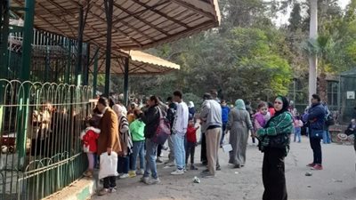تعرف على أسعار تذاكر حديقة الحيوان في عيد الأضحى 