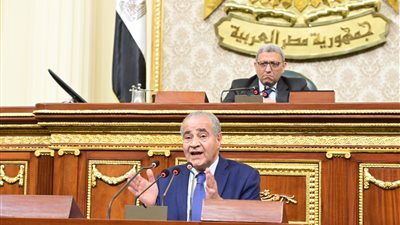 وزير التموين: لا يوجد مادة في الدستور أو القوانين تقر بعملية التسعير الجبري للأسعار