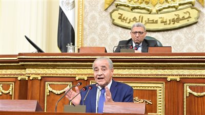 وزير التموين: الانتهاء من إعداد قانون لتنظيم الأسواق العشوائية قريبًا