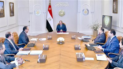 السيسي يوجه بالاستمرار في العمل على صياغة المنظومة الضريبية لتحقيق العدالة الضريبية