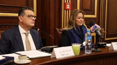 رشا راغب تستعرض دور الأكاديمية الوطنية للتدريب في استراتيجية حقوق الإنسان بالبرلمان