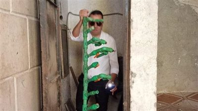 مياه الإسكندرية: إزالة التعديات على الشبكات بمحرم بك والنزهة